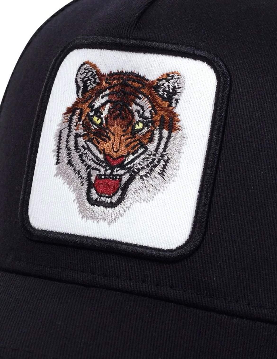 Tigger Cap